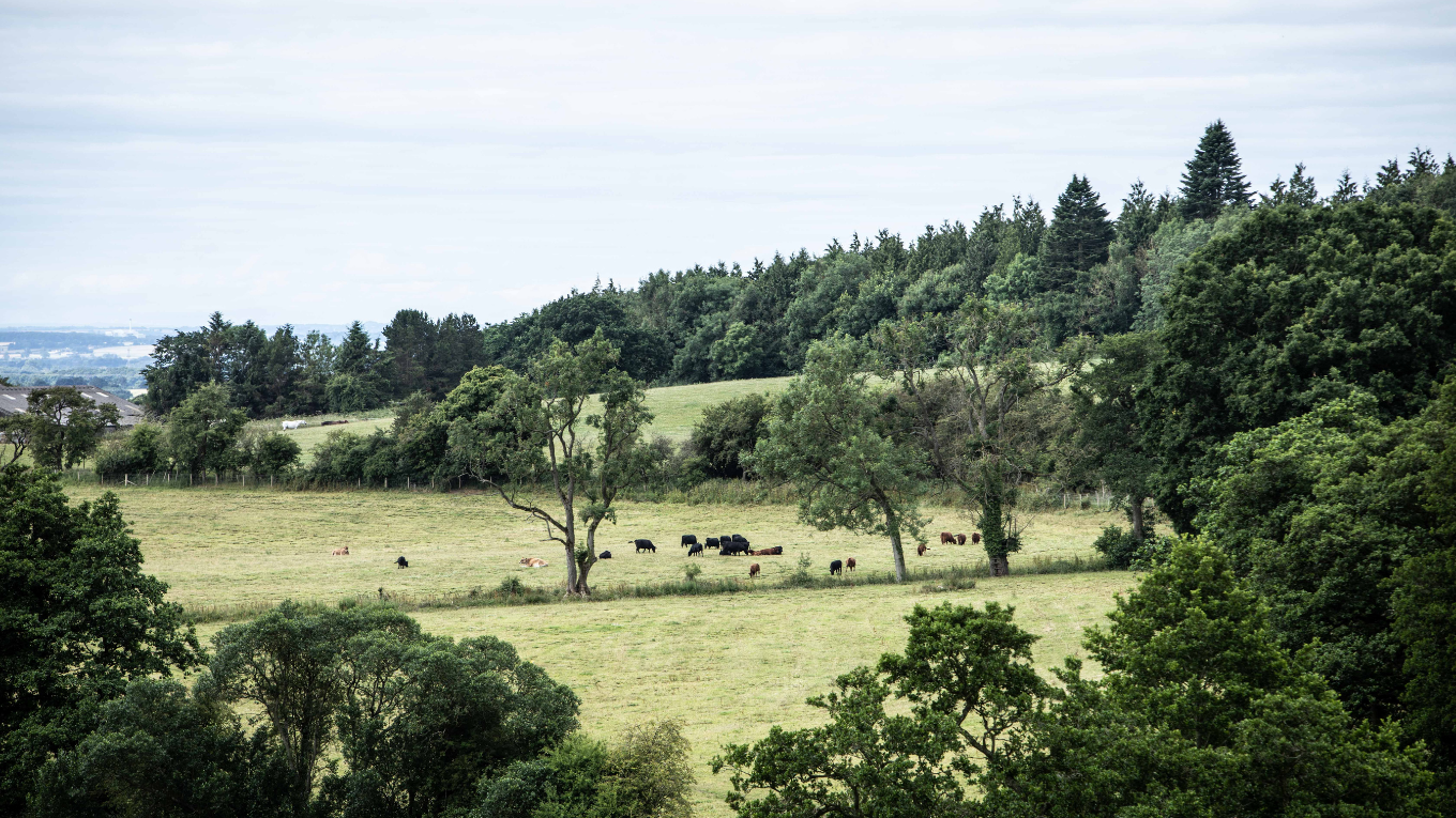 made-in-oldstead-may