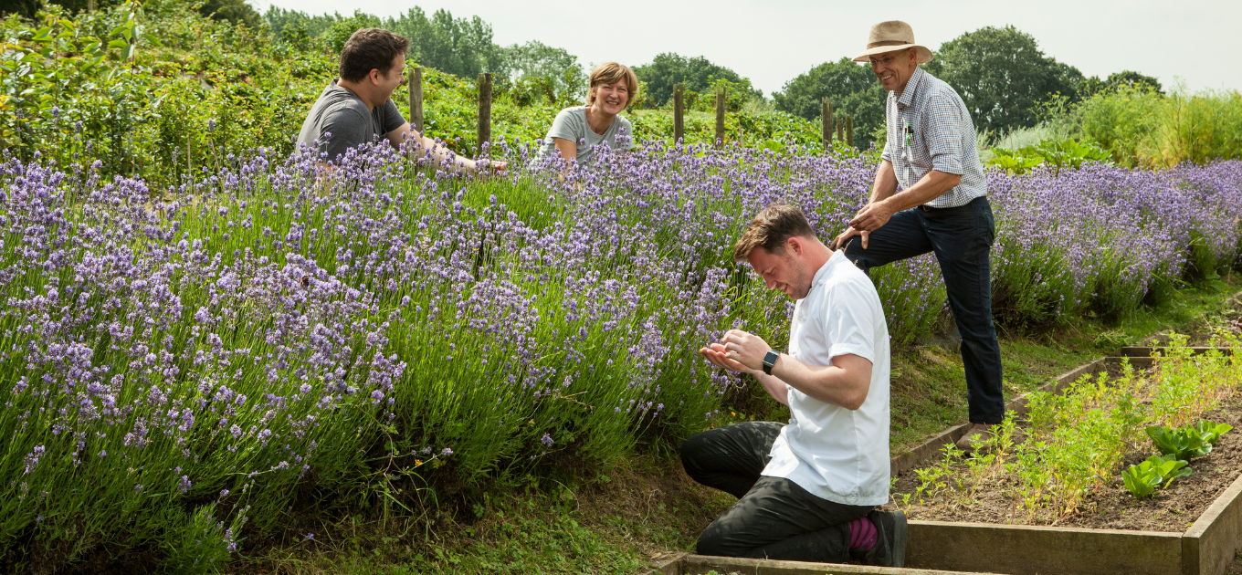 made-in-oldstead-mothers-day