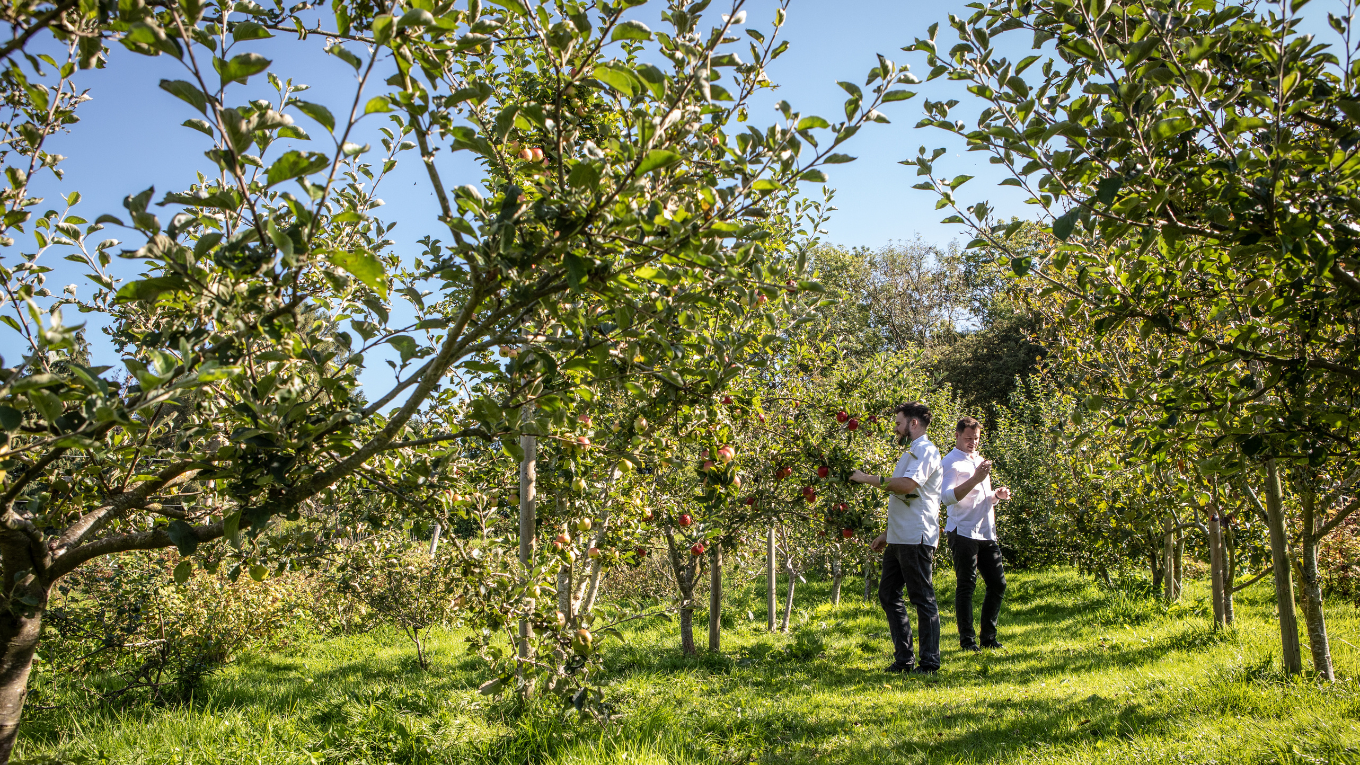 September-Sub-banner