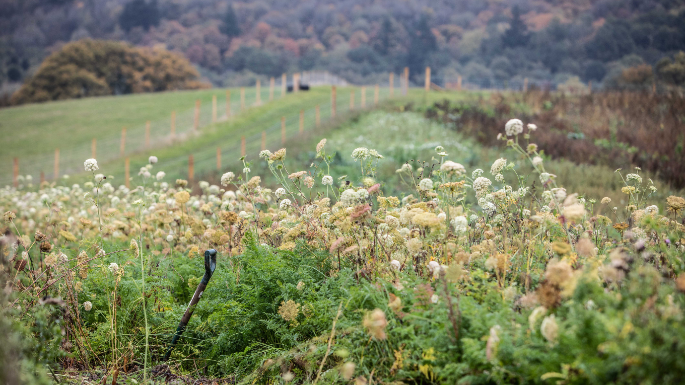 Preserving_Season_Banner